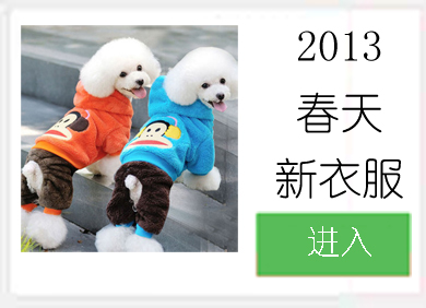 2013���������·�
